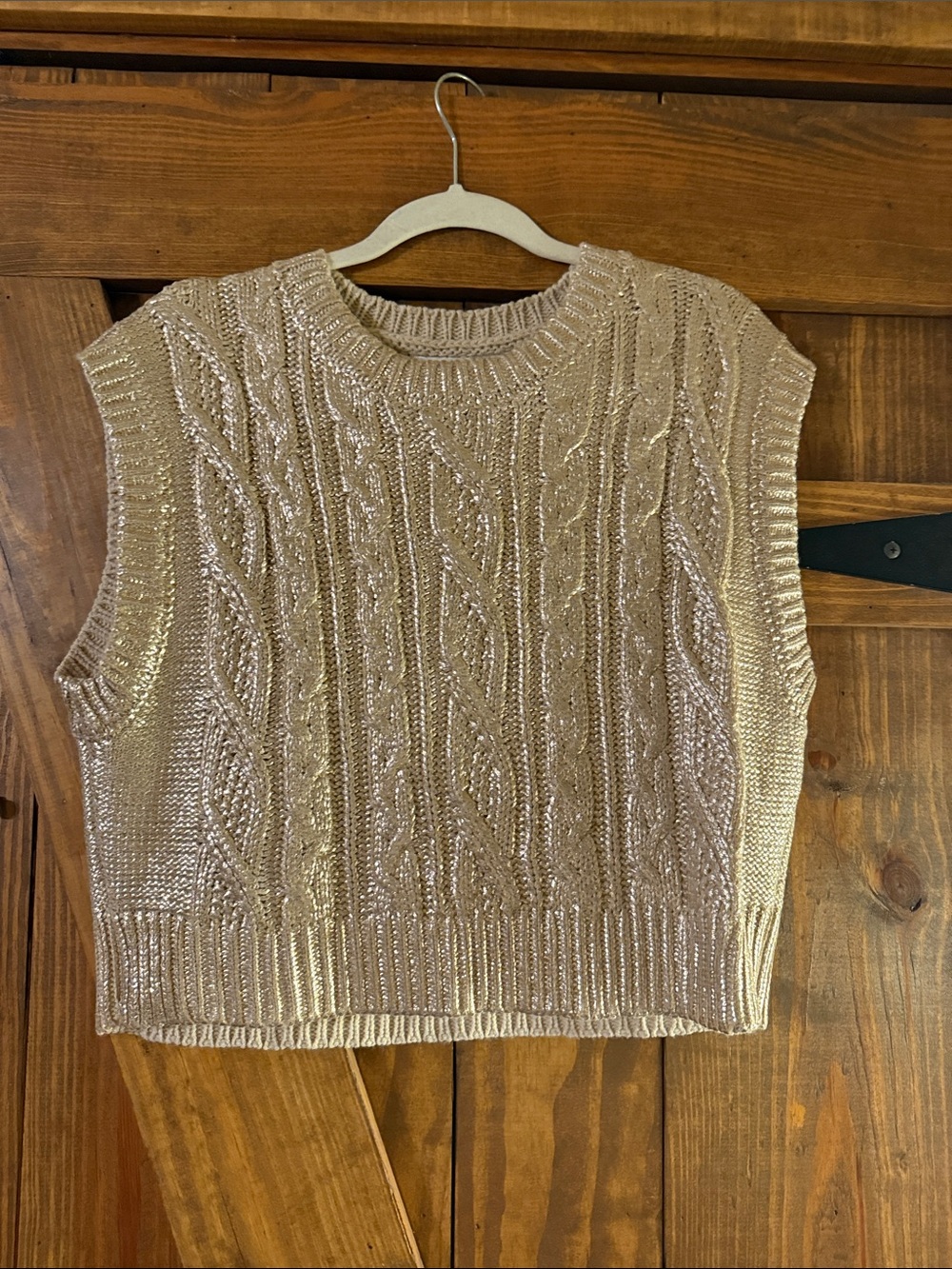 She + Sky Metallic Cable Knit Sleeveless Sweater Vest - Champagne